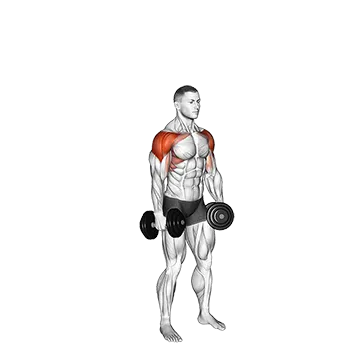 Dumbbell 6 Ways Raise