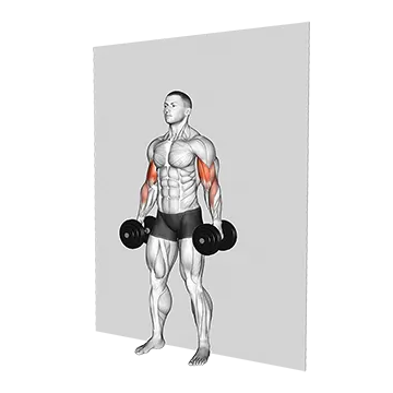 Dumbbell Alternate Hammer Srtict Curl