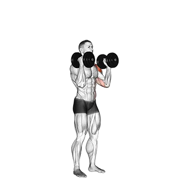 Dumbbell Alternate Side Press