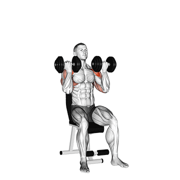 Best Upper Body Dumbbell Workouts Dumbbell Arnold Press