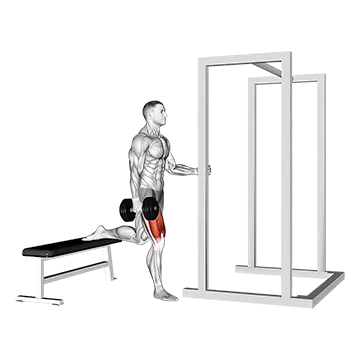 How To Do A Bulgarian Split Squat Dumbbell Assisted Bulgarian Split Squat