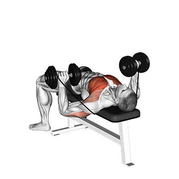 Best Resistance Band Tricep Workouts Dumbbell Banded Bench Press