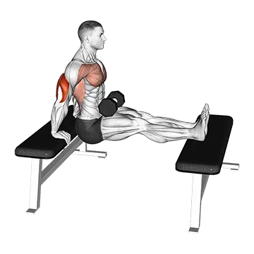 Dumbbell Bench Dip With Legs Elevated