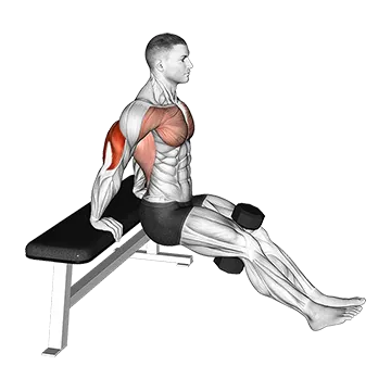Dumbbell Bench Dip