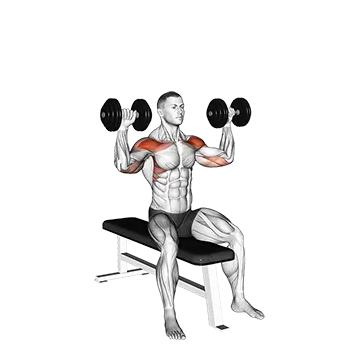Dumbbell Bench Seated Press