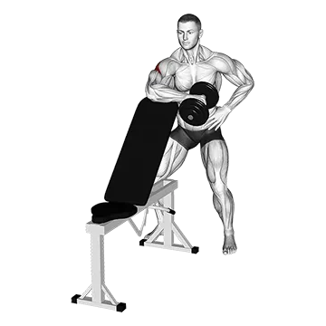 Best Rotator Cuff Exercises Dumbbell Bench Supported External Rotation