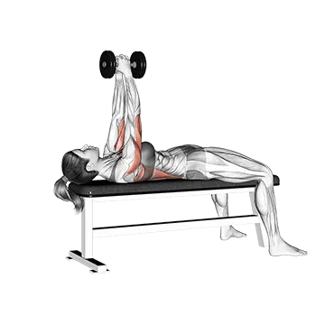 Best Dumbbell Lat Workouts Dumbbell Bent Arm Pullover
