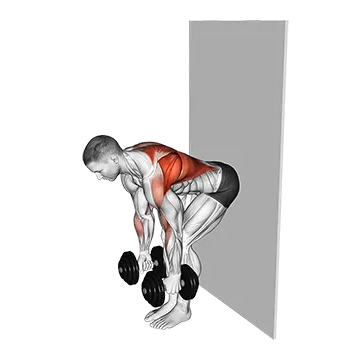 Dumbbell Bent Over Row Against Wall
