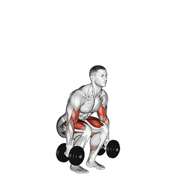Best Dumbbell Bicep Workouts Dumbbell Biceps Curl Squat
