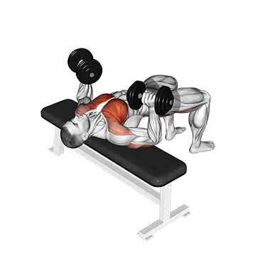 Dumbbell Bridge Bench Press