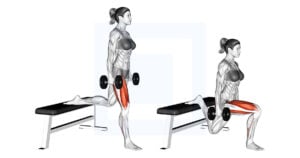 Dumbbell Bulgarian Split Squat - Guide, Benefits, and Form