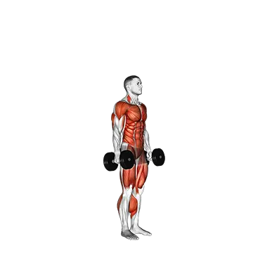 Best Dumbbell Hiit Workouts Dumbbell Burpee
