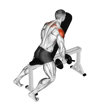 Dumbbell Chest Supported Lateral Raises