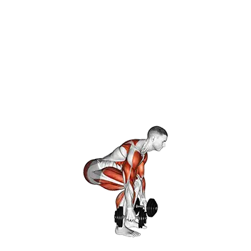 Best Dumbbell Hiit Workouts Dumbbell Clean And Press