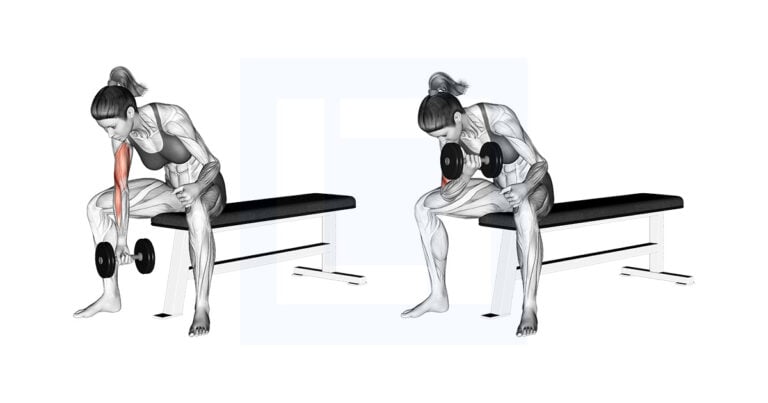 Dumbbell Incline Curl Guide Benefits And Form Dumbbell Incline Curl Guide Benefits And Form