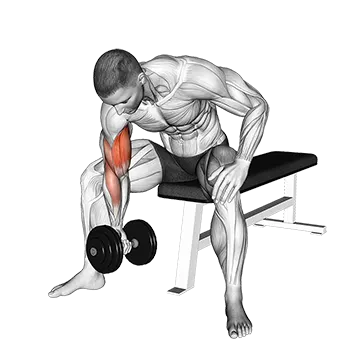 Best Short Head Bicep Exercises Dumbbell Concentration Curl