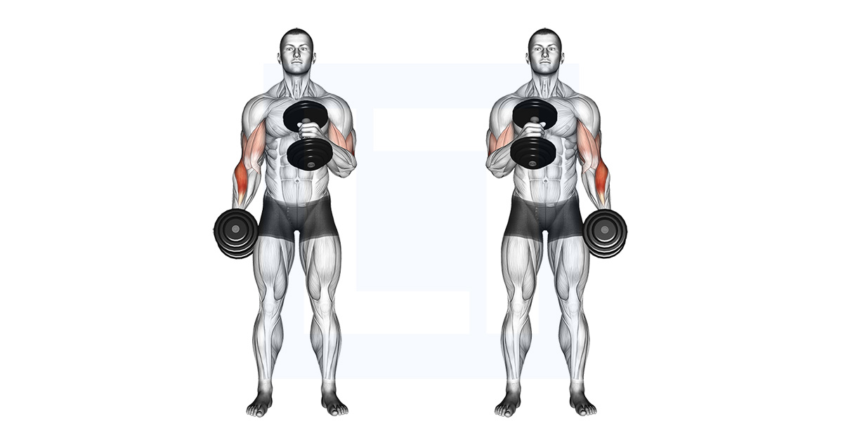 Finger Curls Guide Benefits And Form Finger Curls Guide Benefits And Form