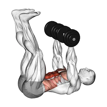 Dumbbell Crunch Up