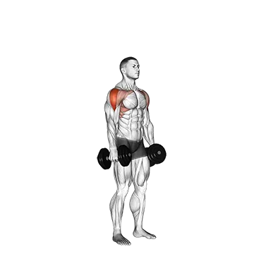 Best Rotator Cuff Exercises Dumbbell Cuban Press