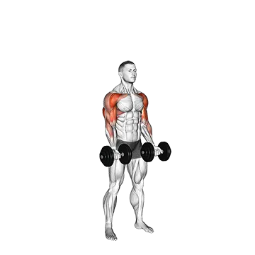 Dumbbell Curl Press Extension
