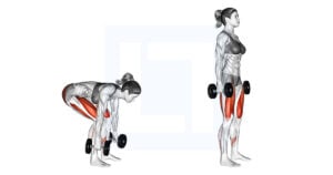 Dumbbell Deadlift - Guide, Benefits, and Form