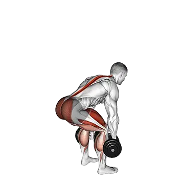 Best Dumbbell Back Workouts Dumbbell Deadlift