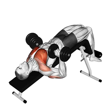 How To Build A Wider Chest Dumbbell Decline Bench Press