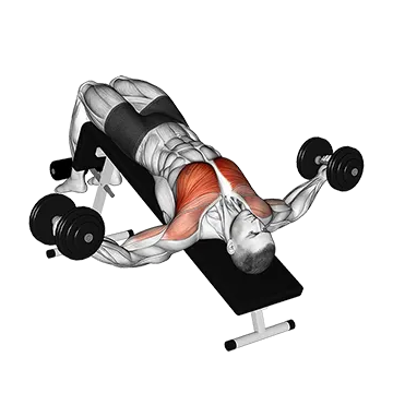 How To Build A Wider Chest Dumbbell Decline Fly