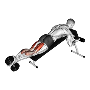 Dumbbell Decline Lying Leg Curl
