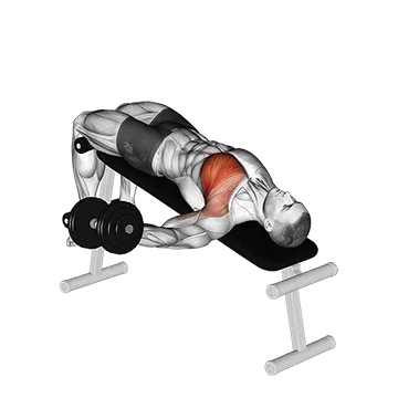 Dumbbell Decline One Arm Fly