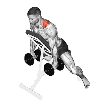 Dumbbell Decline Shrug