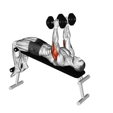 Best Dumbbell Tricep Workouts Dumbbell Decline Triceps Extension