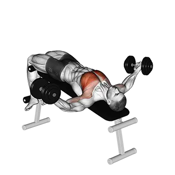 Dumbbell Decline Twist Fly