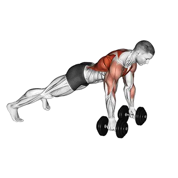 Dumbbell Deep Push Up and Renegade Row
