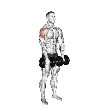 Dumbbell Empty Can Exercise