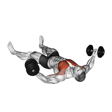 Best Dumbbell Chest Workouts Dumbbell Floor Fly