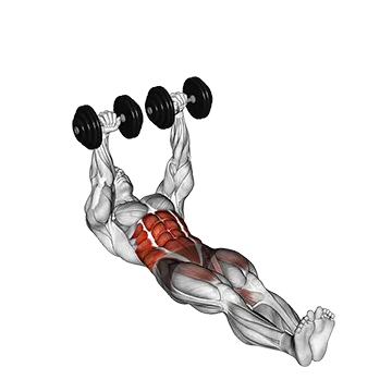 Best Dumbbell Oblique Workouts Dumbbell Floor Wiper