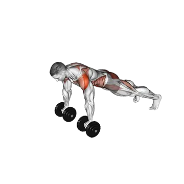 Dumbbell Front Plank Arm Leg Raise