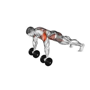 Dumbbell Front Plank Arm Raise