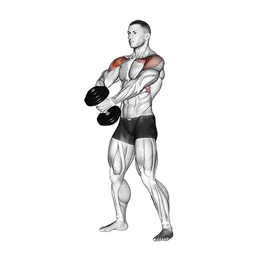 Dumbbell Front Raise Ii