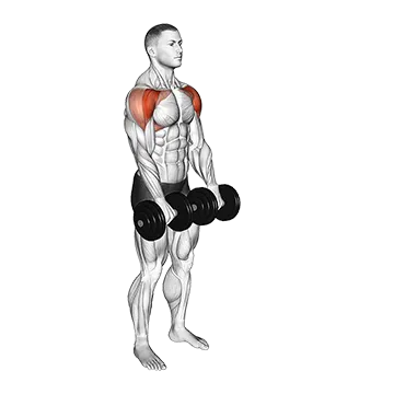 Best Dumbbell Shoulder Workouts Dumbbell Front Raise