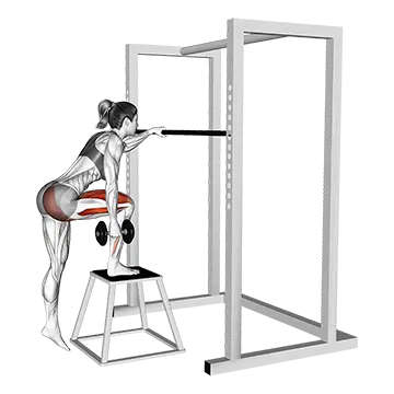 Dumbbell Glute Dominant Step Up