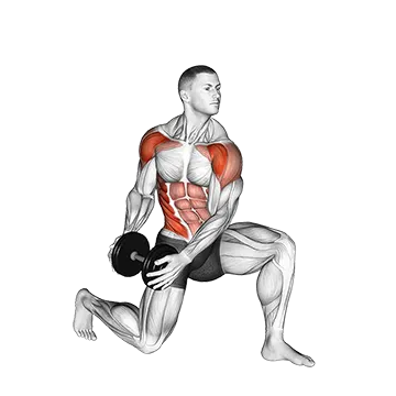 Dumbbell Half Kneeling Lift and Chop