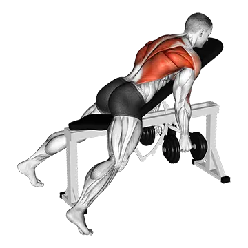 Dumbbell Hammer Grip Incline Bench Two Arm Row