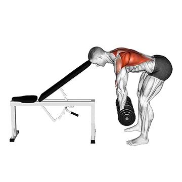 Dumbbell Head Supported Row