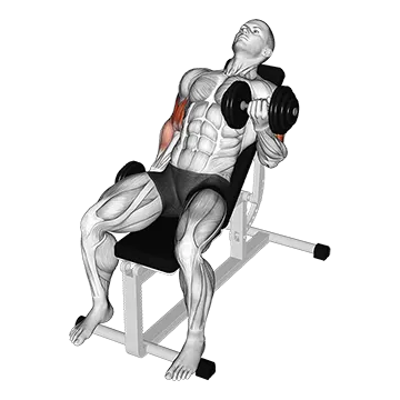Dumbbell Incline Alternate Bicep Curl
