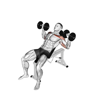Dumbbell Incline Alternate Press