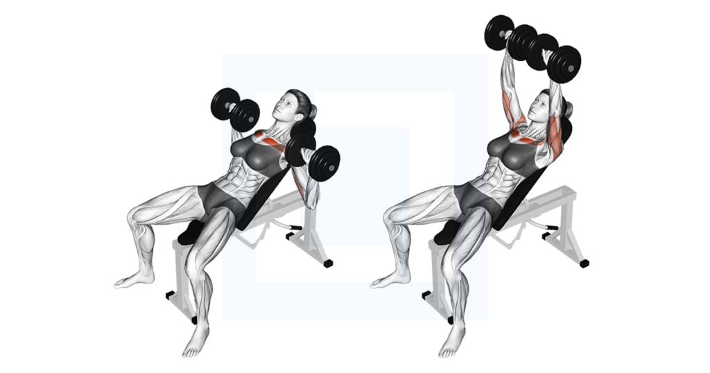 9 Best Upper Chest Workouts + Visual Guides