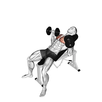Best Push Pull Legs Routine Dumbbell Incline Bench Press