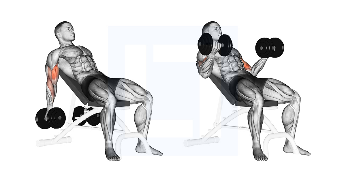 Incline Dumbbell Curls